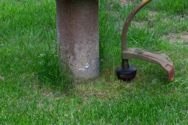 İş yerinde biçme makinesi ile yaz çim yeşil çim biçme