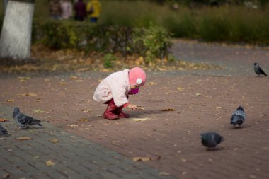 Sonbahar parkında güvercinleri besleyen küçük kız