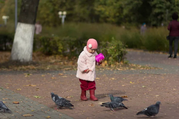 Niña alimentando palomas en el parque de otoño — Foto de Stock