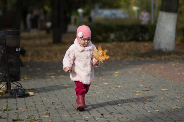 Menina com folhas amarelas na mão no parque de outono — Fotografia de Stock