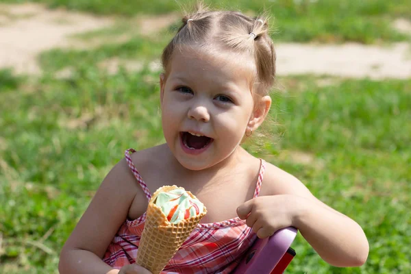 Joyeux sourire petite fille dans le parc d'été — Photo