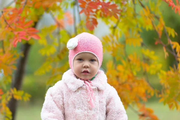 Piękna uśmiechnięta dziewczynka w jesiennym parku patrząc na kamerę — Zdjęcie stockowe