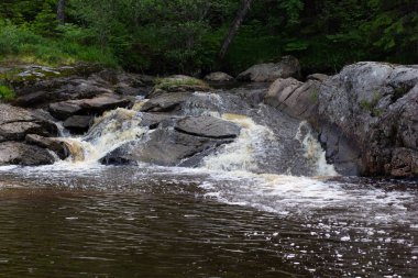 Yaz ormanında nehir üzerinde düşük şelale