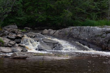 Yaz ormanında nehir üzerinde düşük şelale
