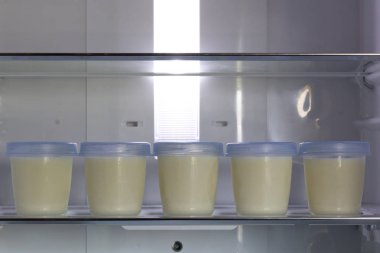 Buzdolabının arka yerinde depolanan anne sütü deposu