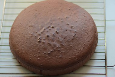 ızgara üzerinde ev yapımı çikolatalı sünger kek