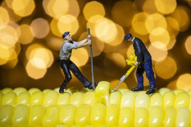 Taze mısırlı ve bulanık, güzel, ışık saçan arka planlı bir minyatür işçi..