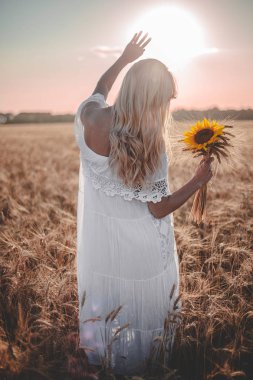 Buğday tarlası ve ayçiçeği bir buket ile alanda güzel bir sarışın görünümlü gün batımı.