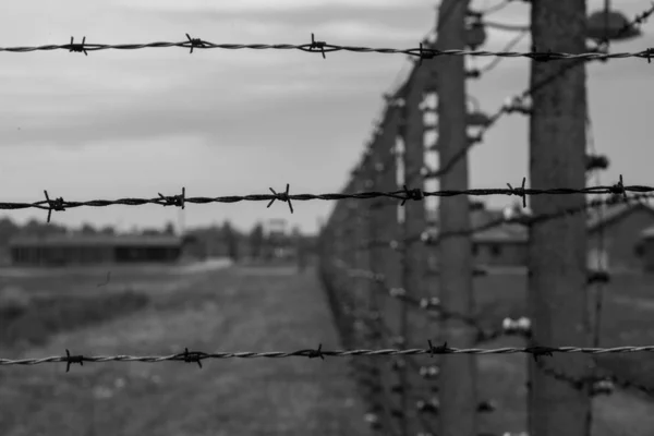 Дріт Освенцім Біркенау Oswiecem Польща — стокове фото