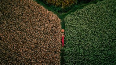 Pirinç Tarlası Terasının Havadan Görünümü. Bali, Endonezya. Pirinç tarlasında kırmızı yatan güzel kadın25 Nisan 2018 