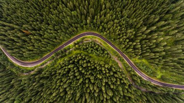 Ormanın ortasında Ukrayna Karpat dağ yolu. Drone fotoğrafçılığı. 
