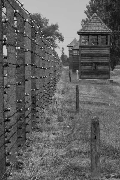 Gün batımında tower & fence izle - Auschwitz Ii-Birkenau, Oswiecem, Polonya