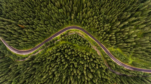 Road Ukrainian Carpathian Mountain Middle Forest Drone Photography — Stock Photo, Image