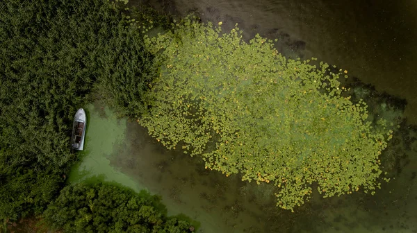 Algal Bloom Green Algae Bloom Lake Pollution Boat Lake Aerial — Stock Photo, Image