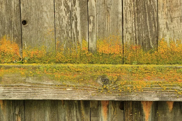 Old wooden barn wood wall background