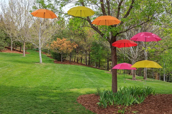 Colorful umbrellas hanging from a tree giving the illusion of floating — Stock Image Colorful Umbrellas Hanging Tree Giving Illusion Floating Stock Picture