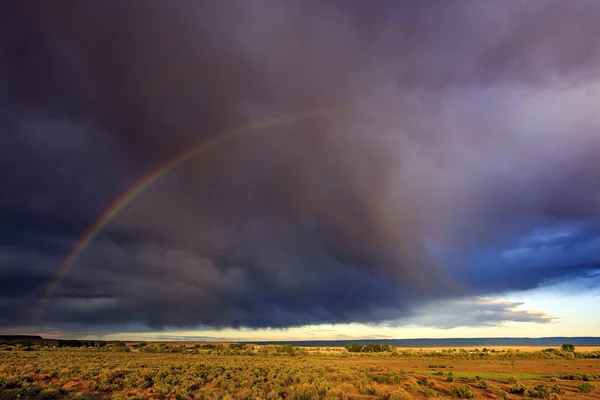 Desert southwest and rainbow in stormy sky, Arizona, USA
