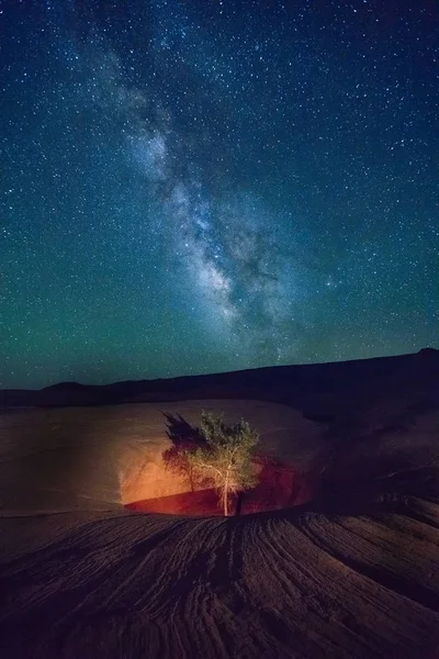 Stars above the Escalante desert, Utah, USA.