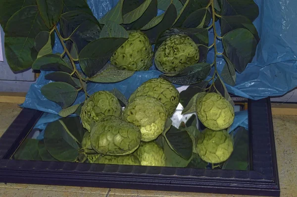Fruta Tropical Herradura Pueblo Granada — Foto Stock