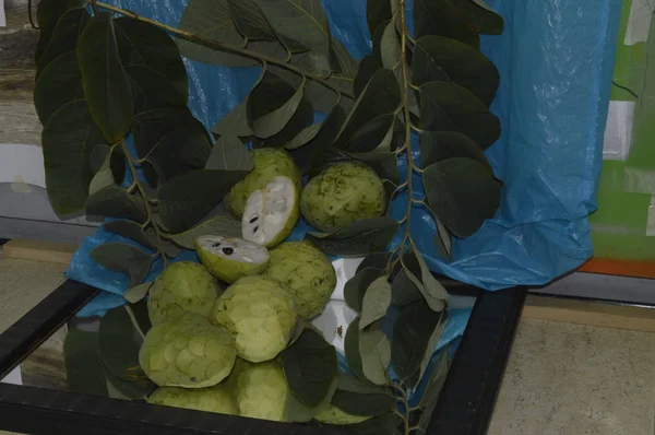 Fruta Tropical Herradura Pueblo Granada — Fotografia de Stock