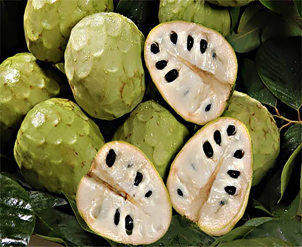 Fruta Tropical Herradura Pueblo Granada — Stock fotografie