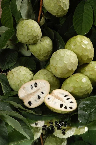 Fruta Tropicale Del Pueblo Herradura Granada — Foto Stock