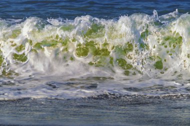 Playa de la herradura en granada endalucia