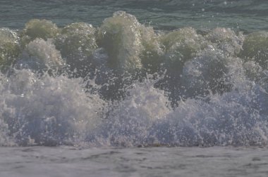 Playa de la herradura en granada endalucia