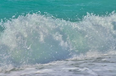 Playa de la herradura en granada endalucia