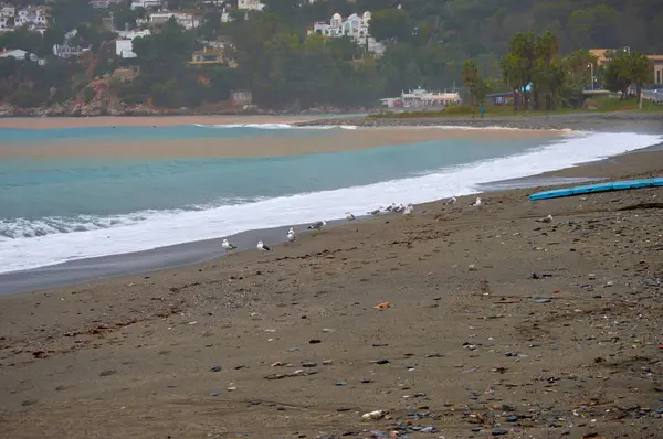 Viendo Las Gaviotas Playa Herradura Granada — стоковое фото