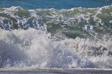 köy sahilde at nalı şişer