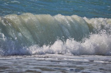 köy sahilde at nalı şişer