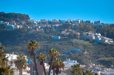 çiftlik maymun at nalı içinde ipucu.