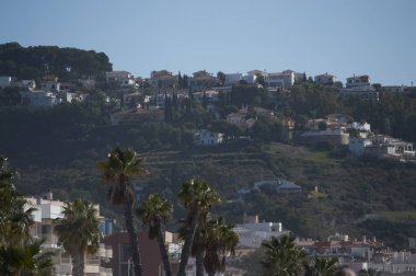 çiftlik maymun at nalı içinde ipucu.