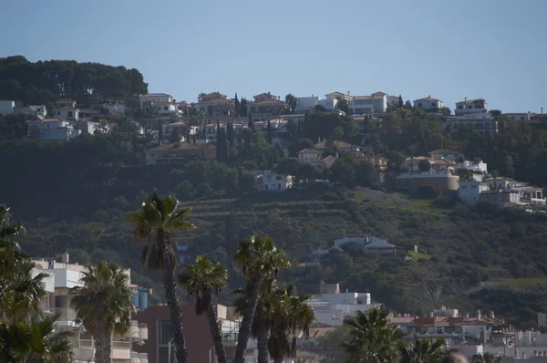 çiftlik maymun at nalı içinde ipucu.