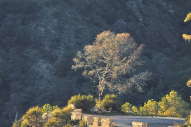 Granada Hill'de dağda öğleden sonra yürüyüş