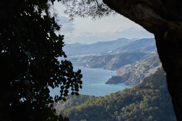 Sunset Wandeling Door Bergen Van Het Vet Van Cerro Kijken — Stockfoto