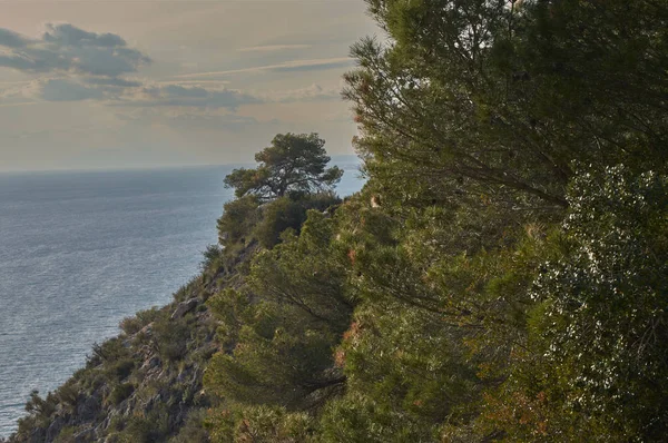 Sunset Wandeling Door Bergen Van Het Vet Van Cerro Kijken — Stockfoto