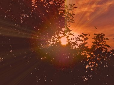 deniz manzaralı büyülü altın akşamları   