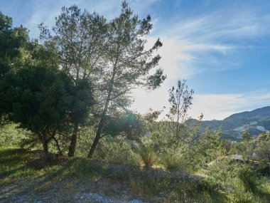      deniz manzaralı büyülü altın akşamları    