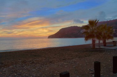 ağaçlar köy granadino at nalı ve deniz doğası çiçekler      