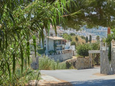 köy granadino at nalı yol ağaçları doğa