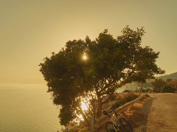 Sonnenuntergang Auf Dem Fetten Hügel Sommer — Stockfoto