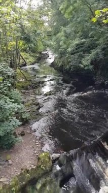 yürüyüş ve İrlanda'da bir dere izlerken