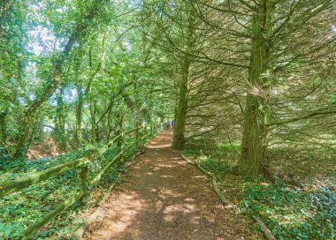 İrlanda güneşli bir gün güzel bir manzara    