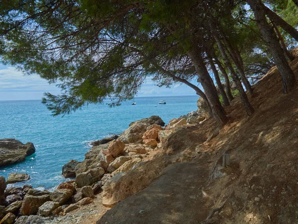 Θέα Στο Τοπίο Στο Πέταλο Της Γρανάδας Ανδαλουσία — Φωτογραφία Αρχείου