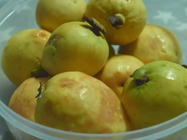 Genre Guavas Regroupe Une Centaine Espèces Arbres Tropicaux Petits Arbres — Photo