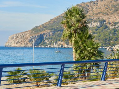 köy at nalı içinde sahilden şişman tepe izliyor