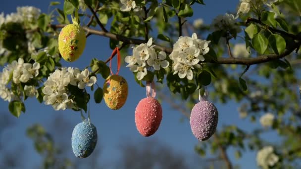 Oeufs Pâques Colorés Sur Branche Pomme Fleurs Dans Journée Ensoleillée — Video