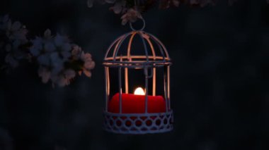Beyaz mum fener içinde şirin kırmızı mum kapatın. Arka planda çiçek açan beyaz kiraz çiçekleri geç alacakaranlık ışıklar. Bu video güzel gizemli ve romantik bir atmosfer var.